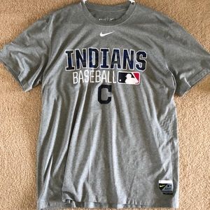Nike gray Cleveland Indians baseball tee
